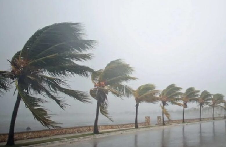 Inmet emite alerta de vendaval para todas as 167 cidades do RN neste sábado (1)